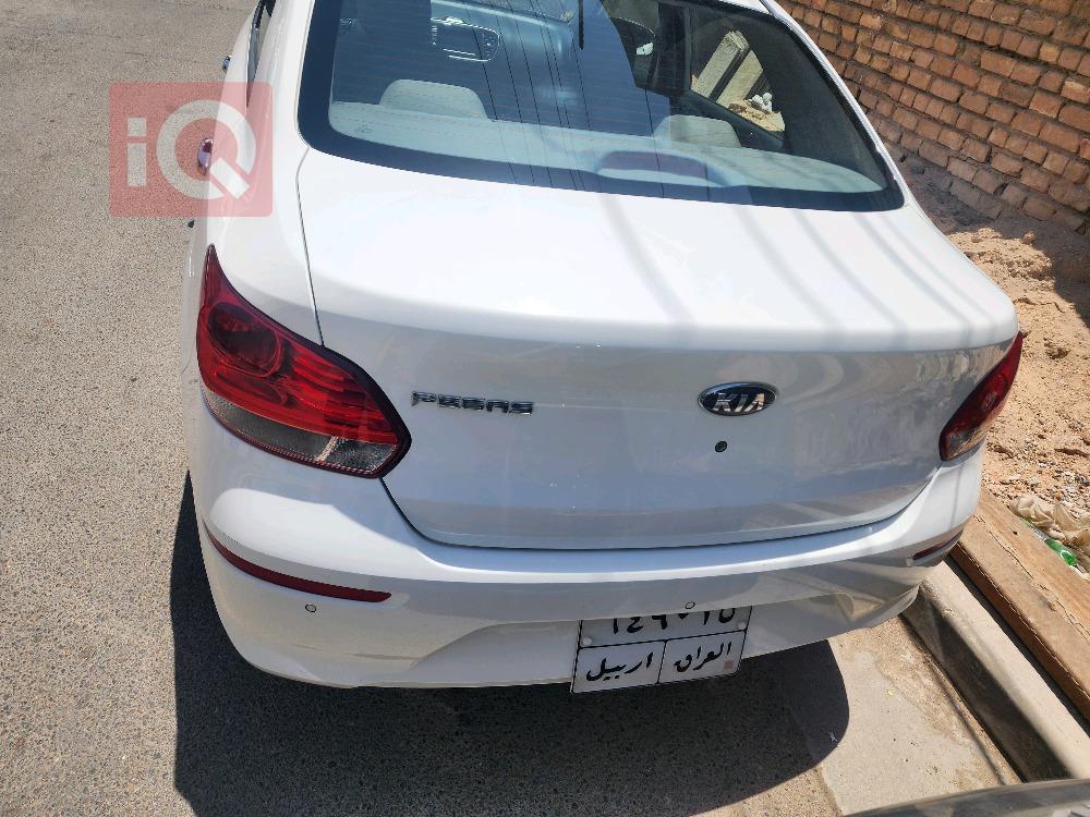 کیا پێگاس